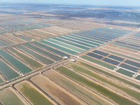 An aerial view of a salt field in Cangzhou, China, on November 18, 2024. (