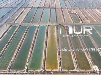 An aerial view of a salt field in Cangzhou, China, on November 18, 2024. (