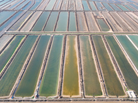 An aerial view of a salt field in Cangzhou, China, on November 18, 2024. (