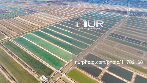 An aerial view of a salt field in Cangzhou, China, on November 18, 2024. 