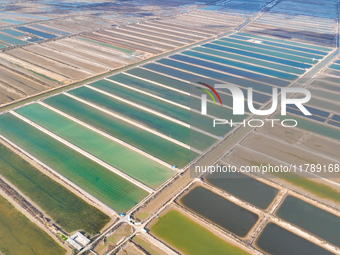 An aerial view of a salt field in Cangzhou, China, on November 18, 2024. (