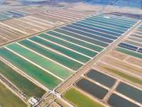 An aerial view of a salt field in Cangzhou, China, on November 18, 2024. (