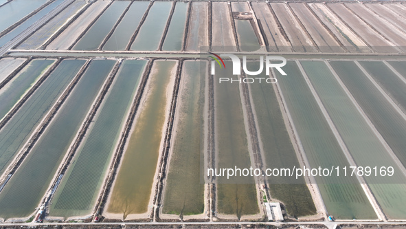 An aerial view of a salt field in Cangzhou, China, on November 18, 2024. 