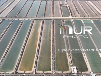 An aerial view of a salt field in Cangzhou, China, on November 18, 2024. (