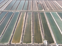 An aerial view of a salt field in Cangzhou, China, on November 18, 2024. (