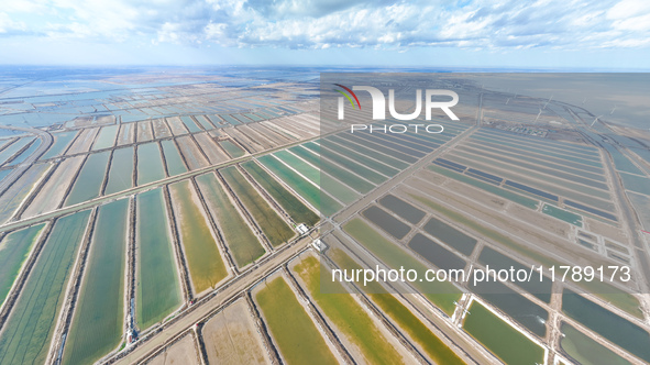 An aerial view of a salt field in Cangzhou, China, on November 18, 2024. 