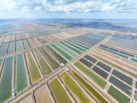 An aerial view of a salt field in Cangzhou, China, on November 18, 2024. (