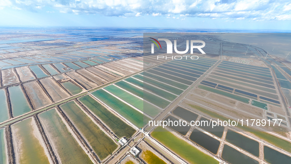 An aerial view of a salt field in Cangzhou, China, on November 18, 2024. 