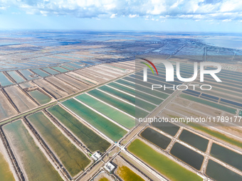 An aerial view of a salt field in Cangzhou, China, on November 18, 2024. (