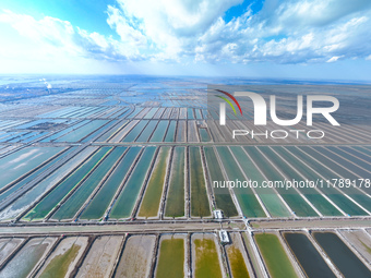 An aerial view of a salt field in Cangzhou, China, on November 18, 2024. (