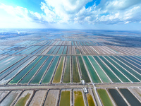 An aerial view of a salt field in Cangzhou, China, on November 18, 2024. (