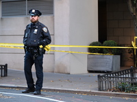 A 30-year-old man was fatally stabbed in the Chelsea section of Manhattan, New York, on November 18, 2024. The incident occurred at approxim...