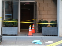 A 30-year-old man was fatally stabbed in the Chelsea section of Manhattan, New York, on November 18, 2024. The incident occurred at approxim...