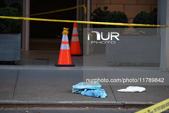 A 30-year-old man was fatally stabbed in the Chelsea section of Manhattan, New York, on November 18, 2024. The incident occurred at approxim...