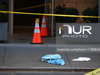 A 30-year-old man was fatally stabbed in the Chelsea section of Manhattan, New York, on November 18, 2024. The incident occurred at approxim...