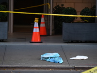 A 30-year-old man was fatally stabbed in the Chelsea section of Manhattan, New York, on November 18, 2024. The incident occurred at approxim...