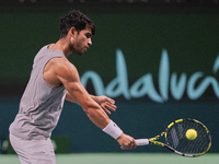 Carlos Alcaraz of Team Spain during Spain's training session prior to the Davis Cup match at Palacio de Deportes Jose Maria Martin Carpena o...