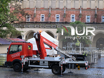 KRAKOW, POLAND - NOVEMBER 18:   
Municipal staff begin decorating trees around the UNESCO-listed Krakow Main Market Square with Christmas li...