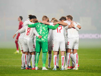  Danish team  during the Nations League Round 6 match between Serbia qnd Denmark at Dubocica Stadium, Leskovac, Serbia on November 18, 2024....