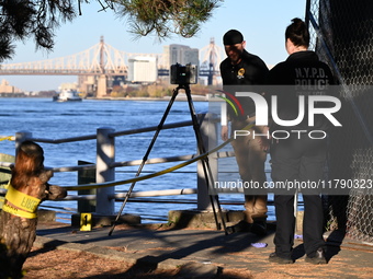 Crime scene investigators with the NYPD collect evidence and guard the scene after a 68-year-old man who is fishing is fatally stabbed multi...