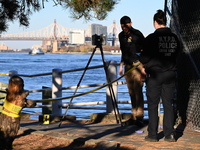 Crime scene investigators with the NYPD collect evidence and guard the scene after a 68-year-old man who is fishing is fatally stabbed multi...