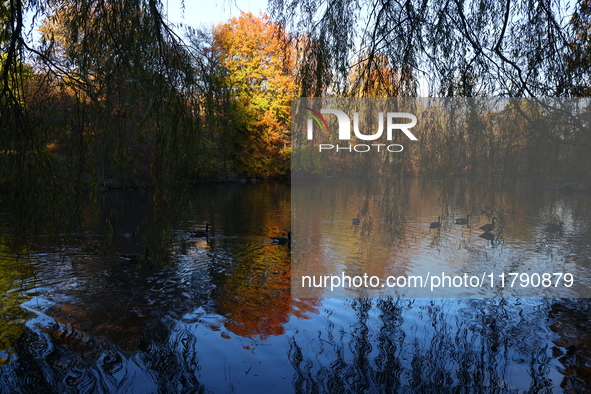 Autumn colors reflect off The Pool in Central Park in New York, N.Y., on November 18, 2024. 