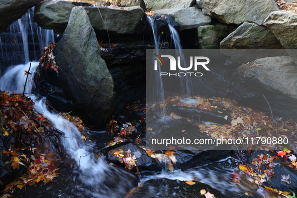 The waterfall is in the Loch in Central Park in New York, N.Y., on November 18, 2024. 