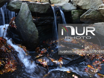 The waterfall is in the Loch in Central Park in New York, N.Y., on November 18, 2024. (