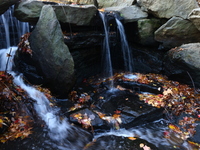 The waterfall is in the Loch in Central Park in New York, N.Y., on November 18, 2024. (