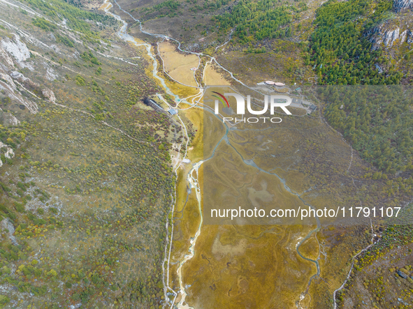 View of Yading National Nature Reserve in Ganzi City, Sichuan Province, on October 16, 2024. 