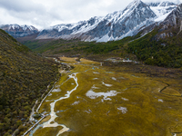 View of Yading National Nature Reserve in Ganzi City, Sichuan Province, on October 16, 2024. (