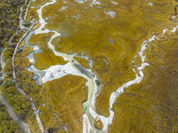 View of Yading National Nature Reserve in Ganzi City, Sichuan Province, on October 16, 2024. (