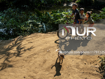 Tribal children ride on a bicycle as a puppy runs beside them in Durgapur, Netrokona, Bangladesh, on November 17, 2024. (