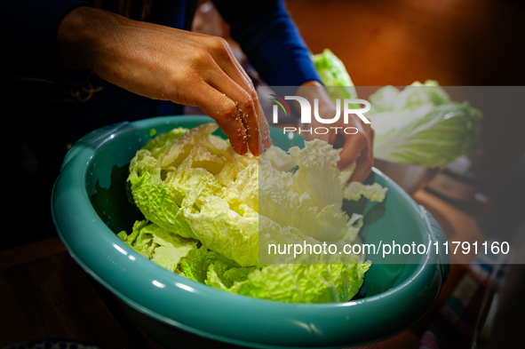 A man salts each loaf of napa cabbage to make Kimchi on November 10, 2024. 