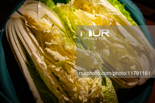 A view of napa cabbage cut in two, ready to make the fermented South Korean food, Kimchi, on November 10, 2024. 