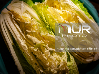 A view of napa cabbage cut in two, ready to make the fermented South Korean food, Kimchi, on November 10, 2024. (