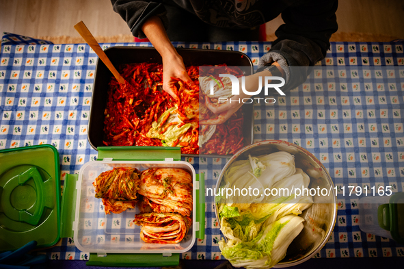 A person soaks the napa cabbage in the kimchi paste during the preparation of fermented Korean food, Kimchi, on November 10, 2024. 