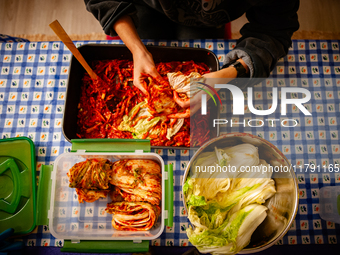 A person soaks the napa cabbage in the kimchi paste during the preparation of fermented Korean food, Kimchi, on November 10, 2024. (