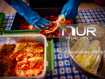 A person soaks the napa cabbage in the kimchi paste during the preparation of fermented Korean food, Kimchi, on November 10, 2024. (