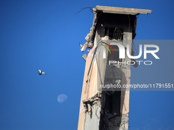 A dove flies above a building destroyed in previous airstrikes during the Israeli military offensive, amid the ongoing conflict between Isra...