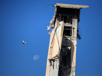 A dove flies above a building destroyed in previous airstrikes during the Israeli military offensive, amid the ongoing conflict between Isra...