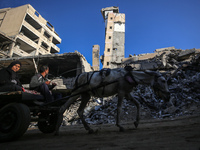 Palestinians ride a donkey-drawn cart next to the rubble of a house destroyed in previous airstrikes during the Israeli military offensive,...