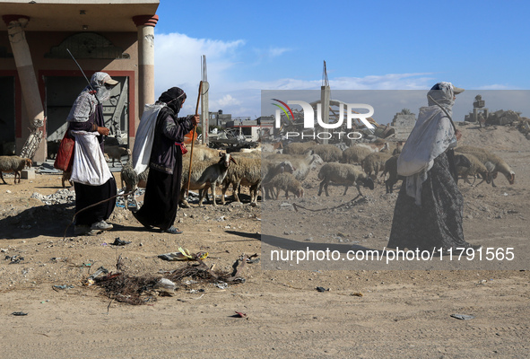 Shepherds herd a flock of sheep near a building destroyed during a previous Israeli bombardment in Khan Yunis, Gaza Strip, on November 19, 2...