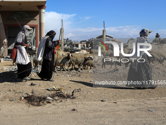 Shepherds herd a flock of sheep near a building destroyed during a previous Israeli bombardment in Khan Yunis, Gaza Strip, on November 19, 2...