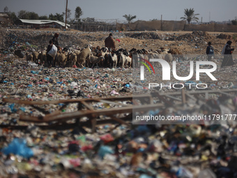 A Palestinian searches through a pile of garbage in Khan Yunis, Gaza Strip, on November 19, 2024, amid the ongoing war between Israel and th...