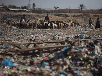 A Palestinian searches through a pile of garbage in Khan Yunis, Gaza Strip, on November 19, 2024, amid the ongoing war between Israel and th...