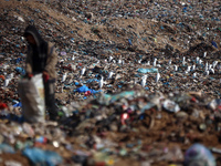 A displaced Palestinian boy searches through a pile of garbage in Khan Yunis, Gaza Strip, on November 19, 2024, amid the ongoing war between...