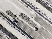 In Feni, Chittagong, Bangladesh, on November 19, 2024, workers mold hundreds of new bricks at a brick kiln. The daily laborers work from 8 a...