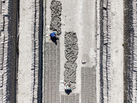 In Feni, Chittagong, Bangladesh, on November 19, 2024, workers mold hundreds of new bricks at a brick kiln. The daily laborers work from 8 a...