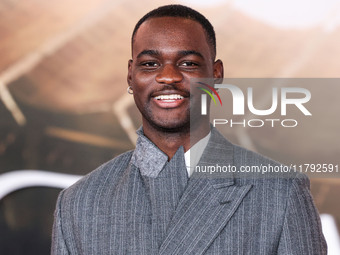 Ethan Herisse arrives at the Los Angeles Premiere Of Paramount Pictures' 'Gladiator II' held at the TCL Chinese Theatre IMAX on November 18,...